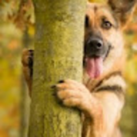 Meet your Posher, Doreen - Picture 1 of 1